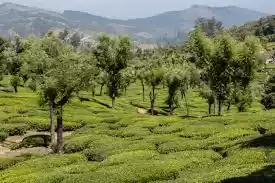 Photo of Travel Info : How to