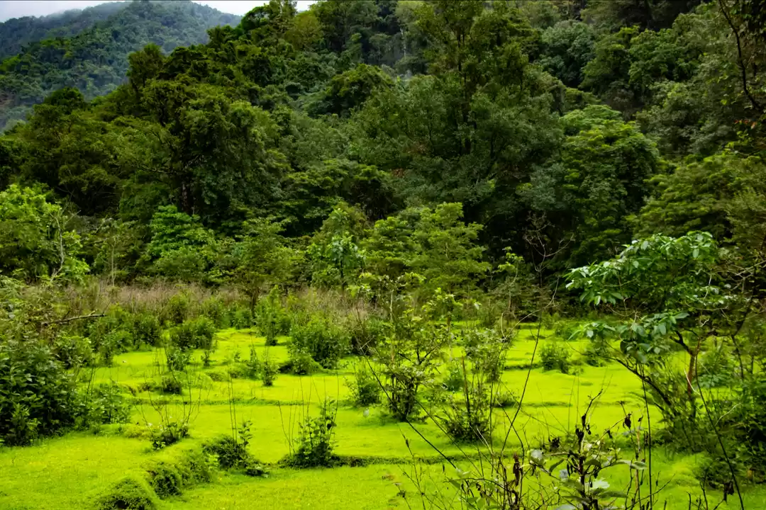Photo of Tambdi Surla & Dudh 