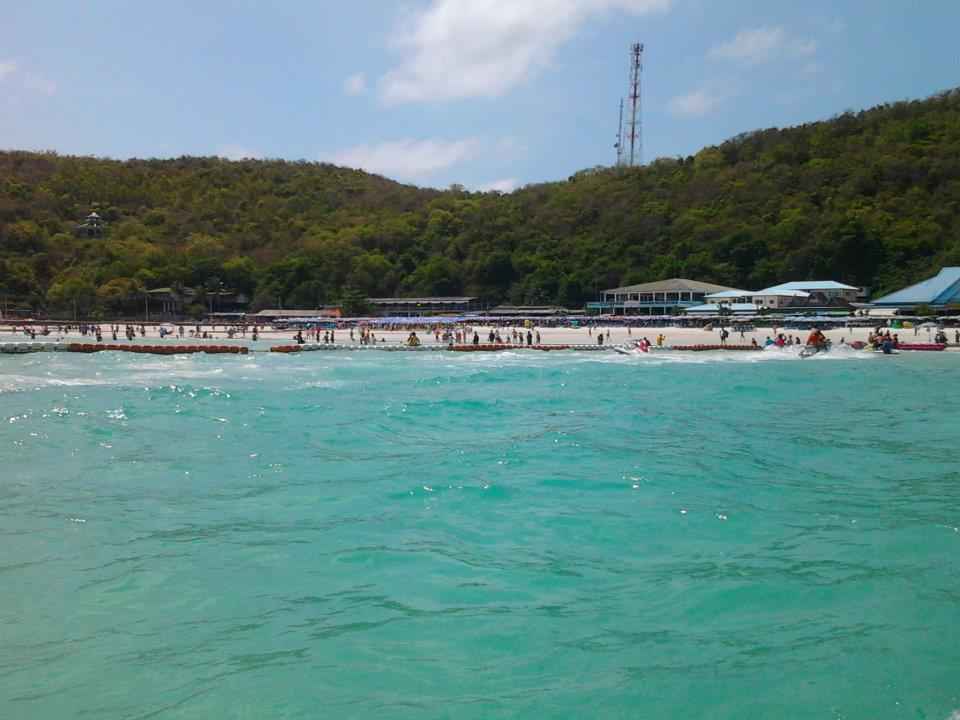 Photo of The Thai touch