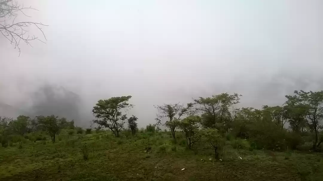 Photo of Amidst the clouds in