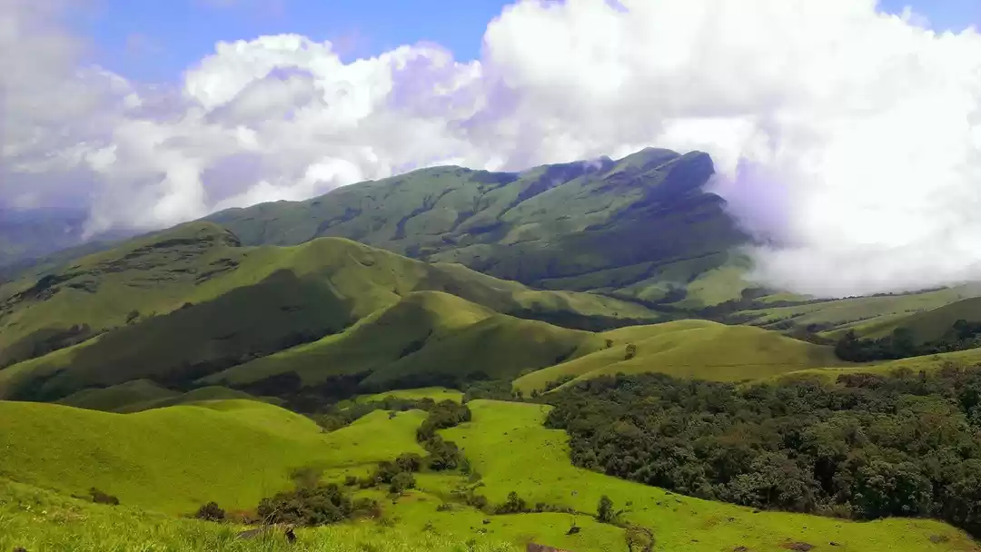 Photo of Trek to the Horse's 