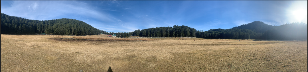 Photo of In the lapse of natu