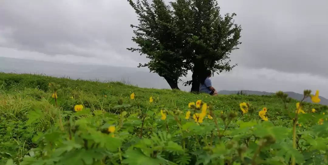 Photo of So your predictions