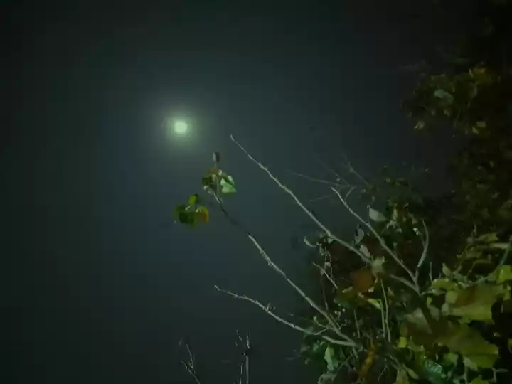 Photo of MOONLIT TERRACE!