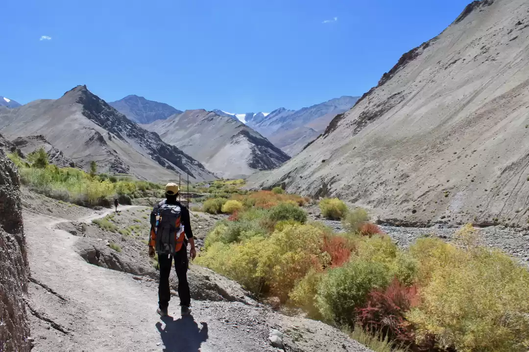 Photo of Markha valley – the 