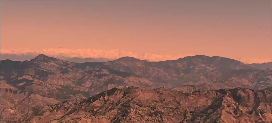 Photo of Royal Tulip Kufri