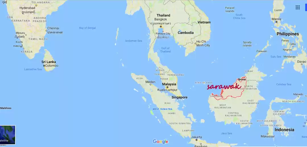 Photo of Rainforest World Mus