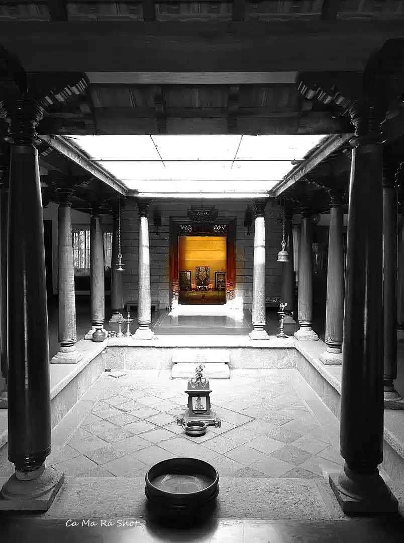 Photo of Mango Mulch - Homest