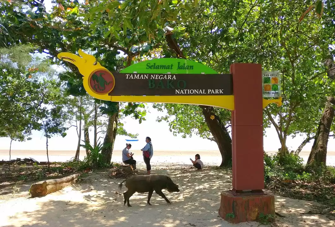 Photo of Bako National Park -