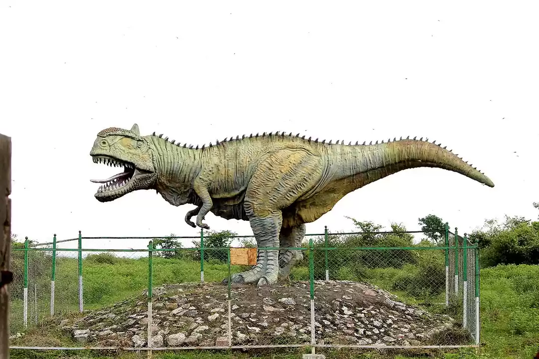 Photo of Dinosaur park and mu