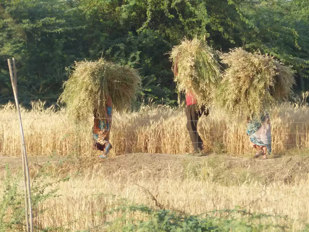 Photo of Raola Khera - An eth