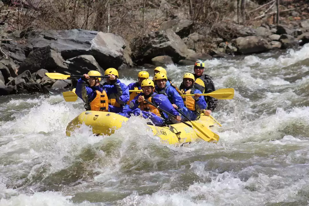 Photo of Why Smokies is the b