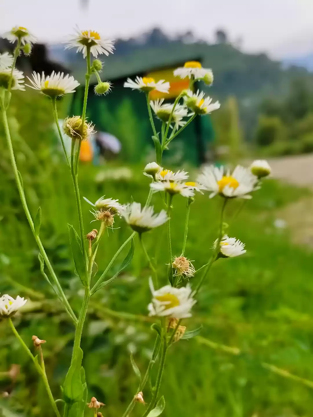 Photo of Mountains with the d