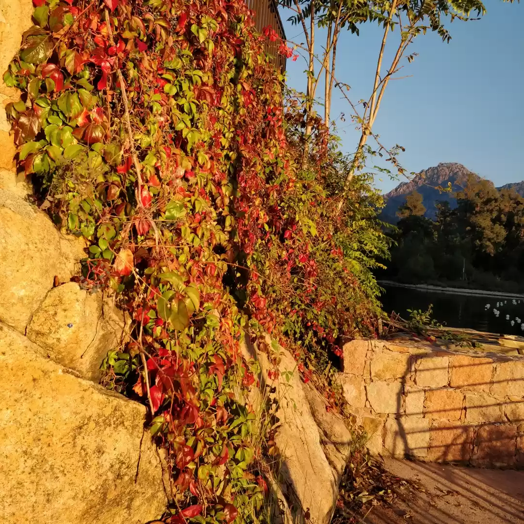 Photo of Corsica- The Virgin 