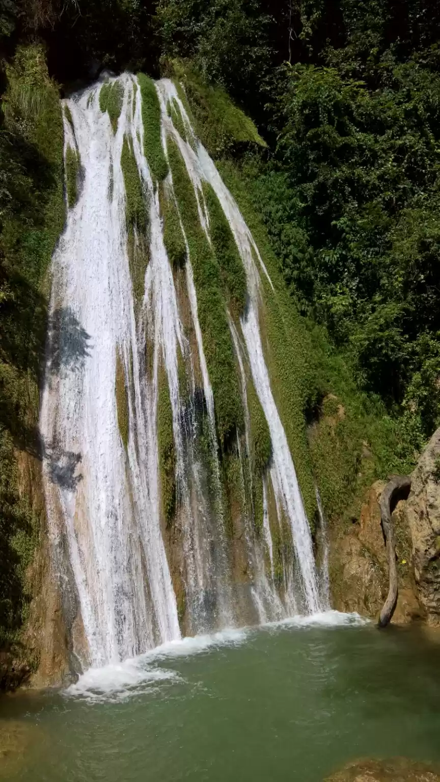 Photo of Very Nice Place in M