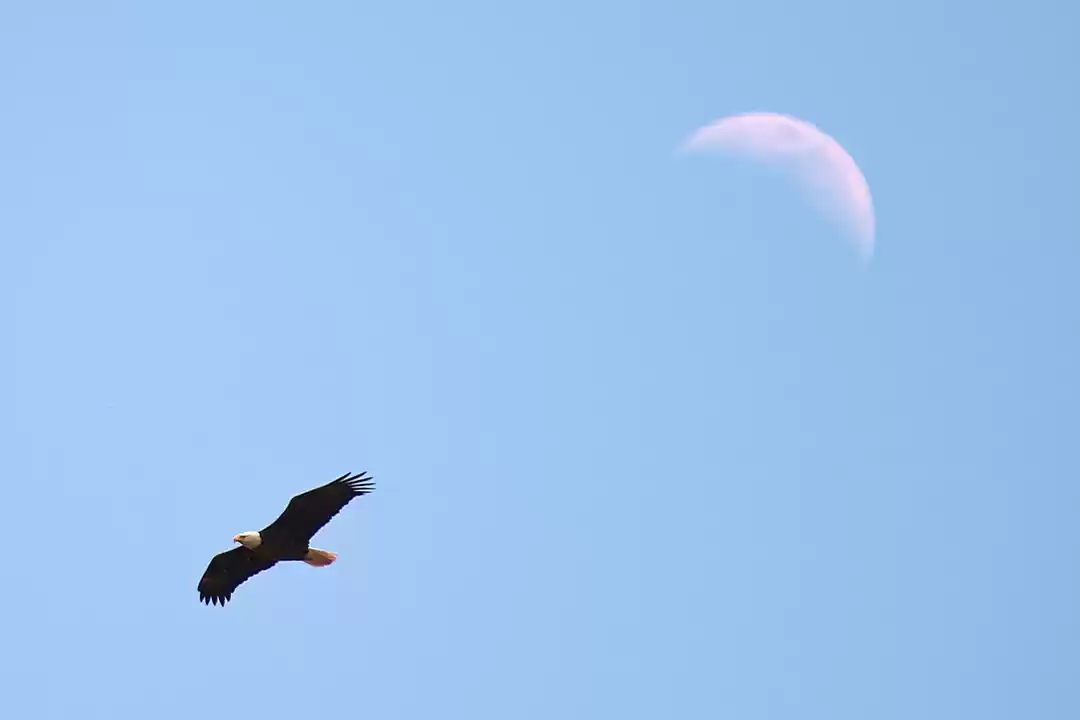 Photo of We could fly so high