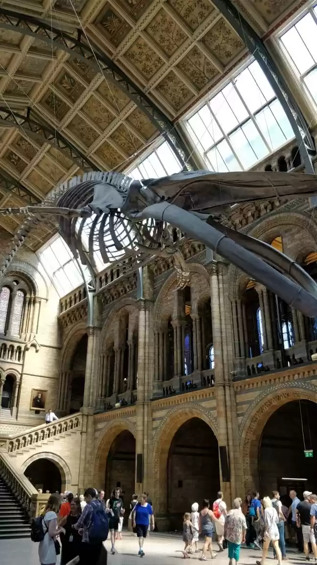 Photo of 6 Things to see at t