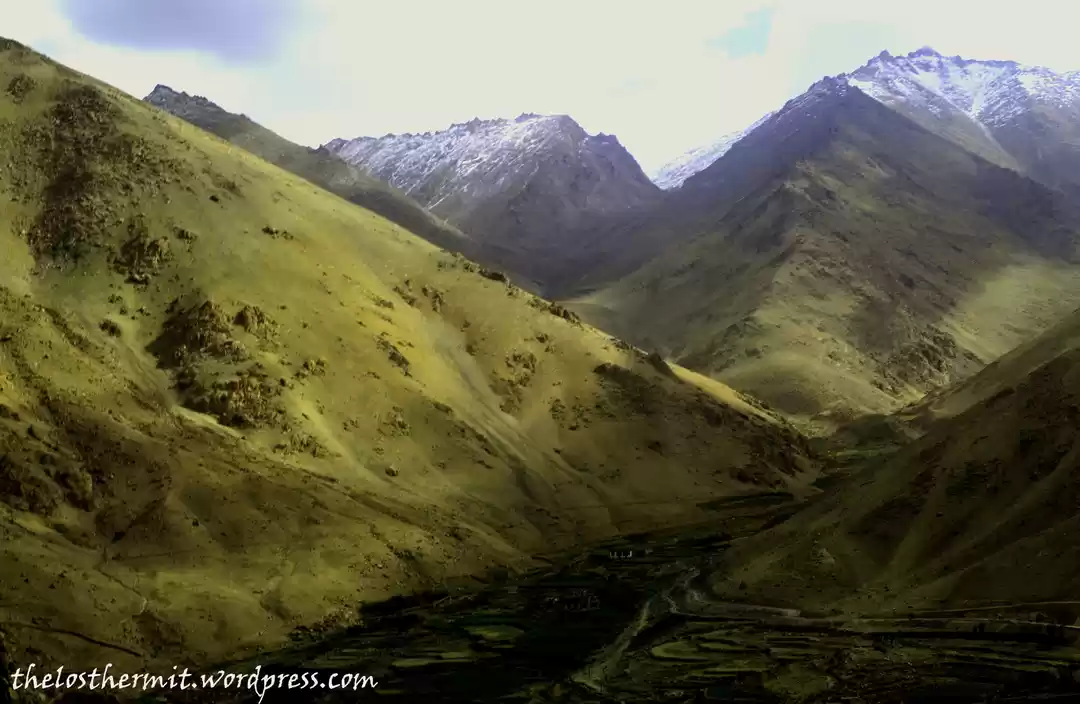Photo of Changthang Plateau &