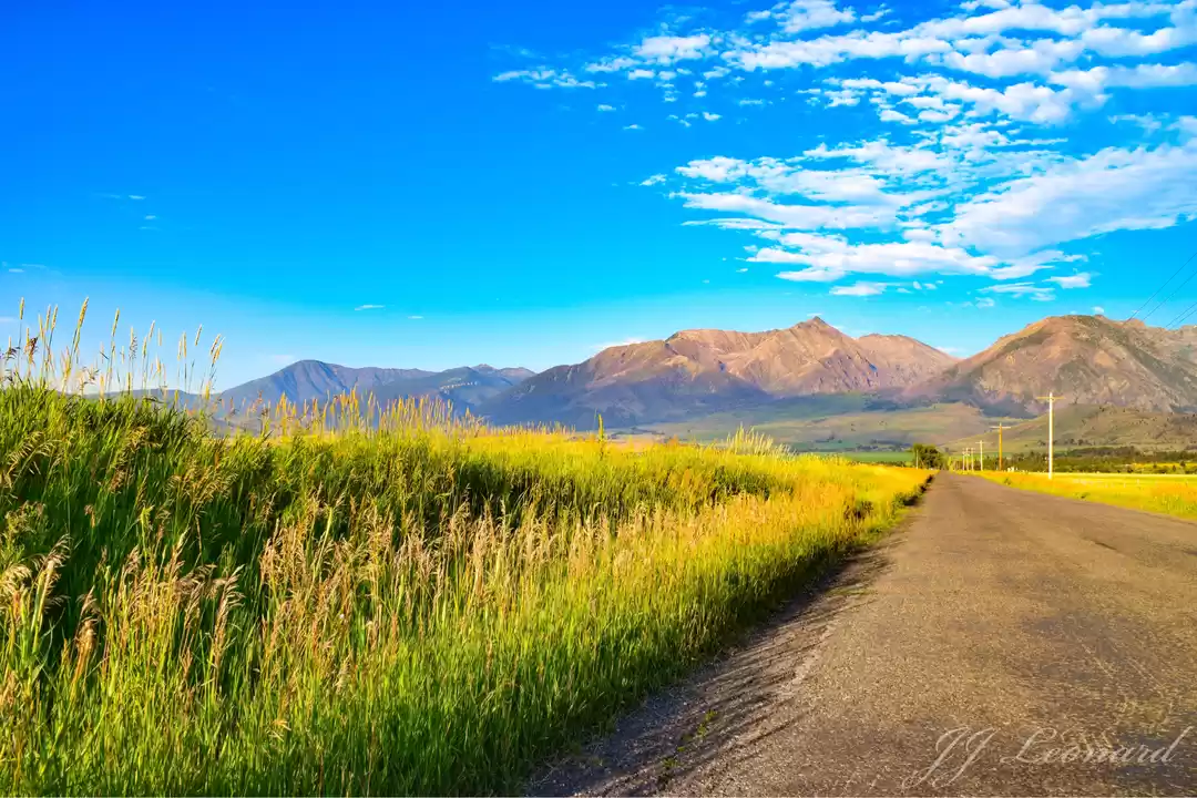 Photo of Living in Montana :