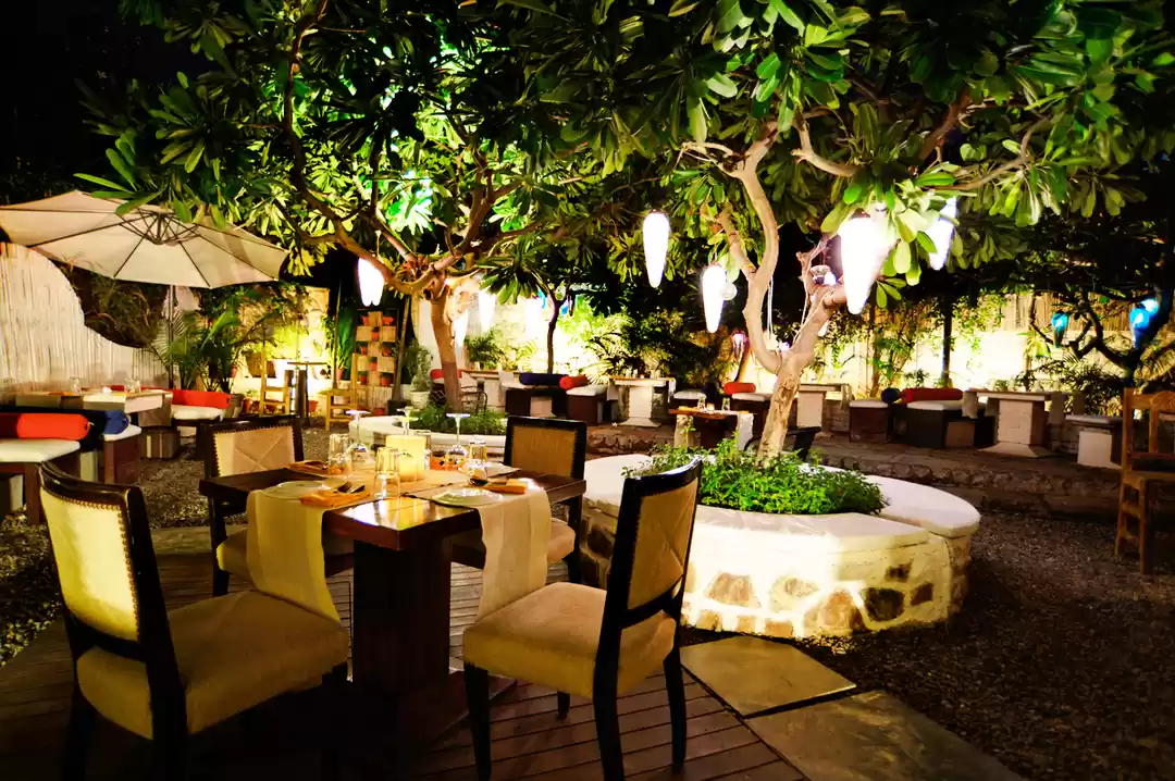 Photo of My Perfecto Day in m