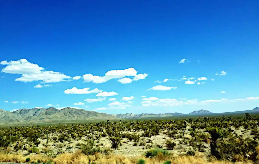 Photo of On road from L.A to 
