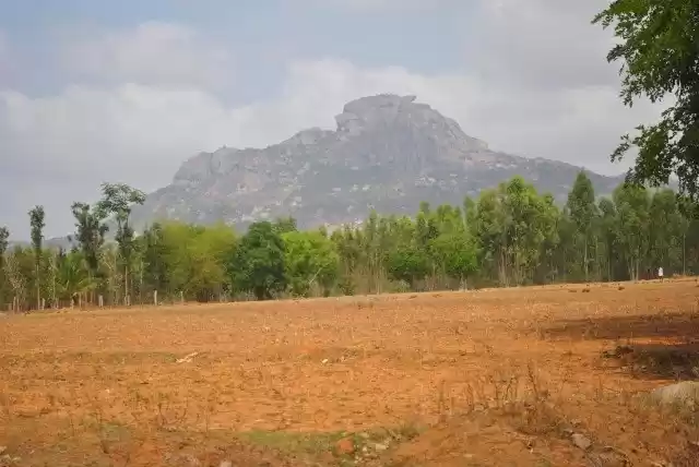 Photo of Shivagange Betta- a