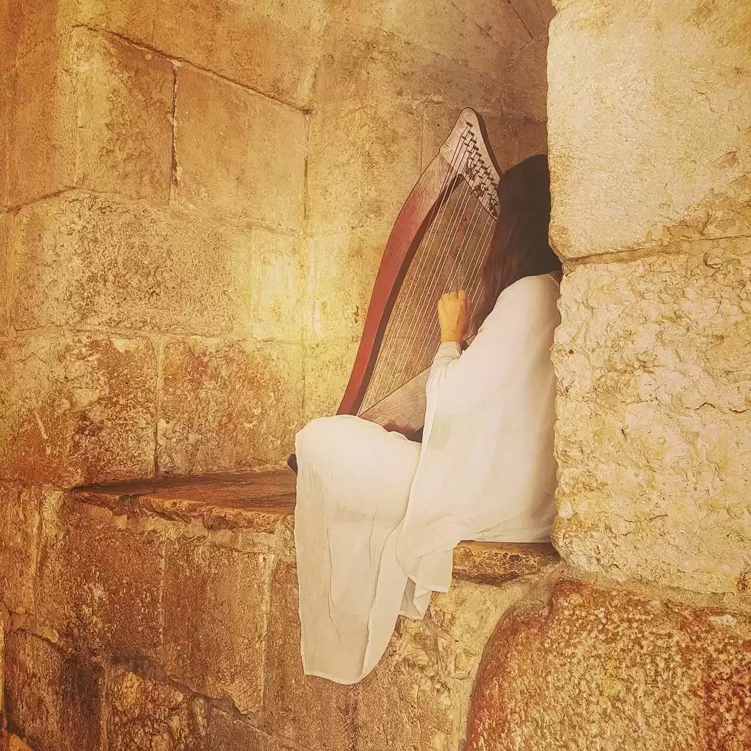 Photo of While walking down t