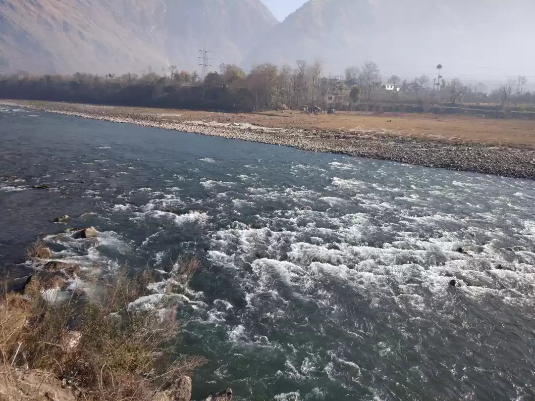Photo of The JIM MORRISON CAF