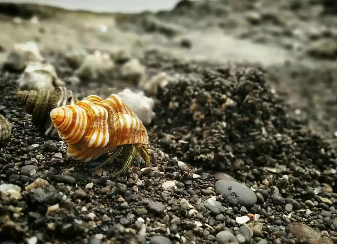 Photo of A Weekend Getaway to