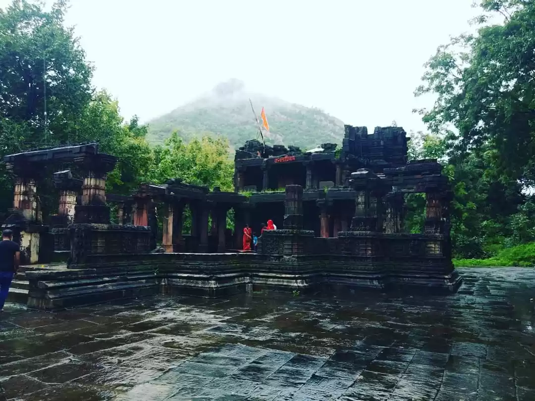 Photo of Polo forest sabarkat