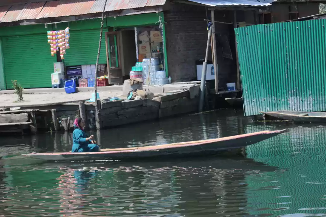 Photo of Destination Dal Lake