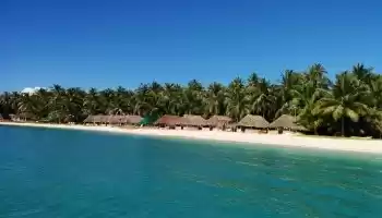 Photo of 10 reasons to have L