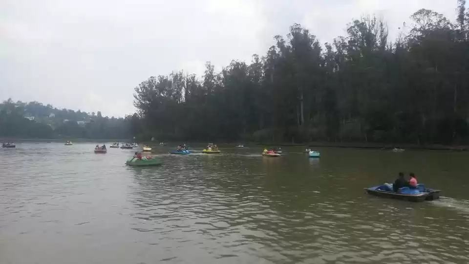 Photo of Ooty - Solitude in t