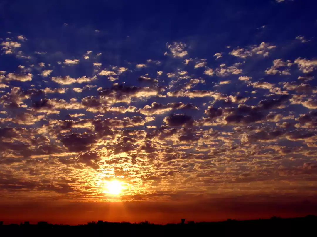 Photo of The First Light: A L