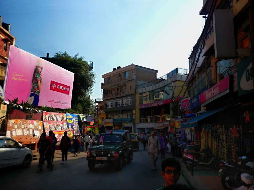 45 km from Shimla, this is how I discovered the Mushroom Capital of India -  Tripoto