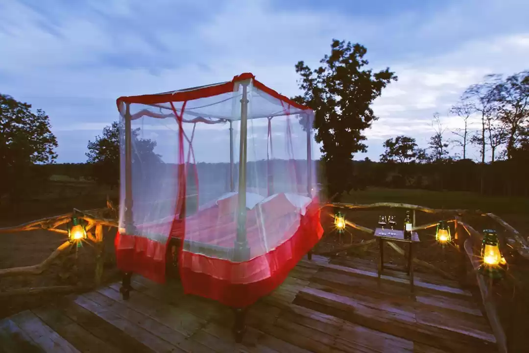 Photo of Sleep under the star