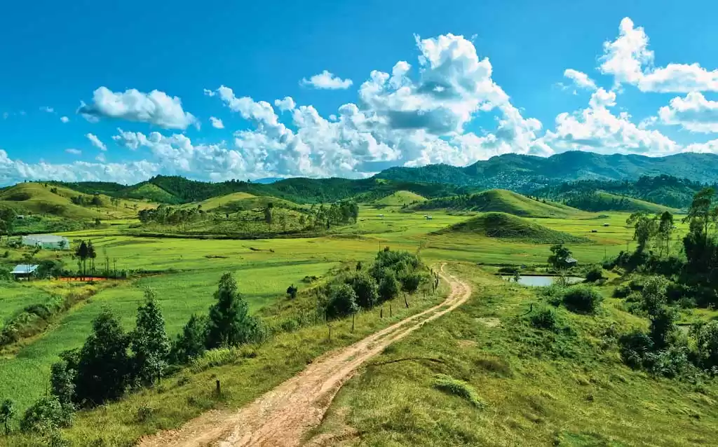 Photo of This Green Valley In