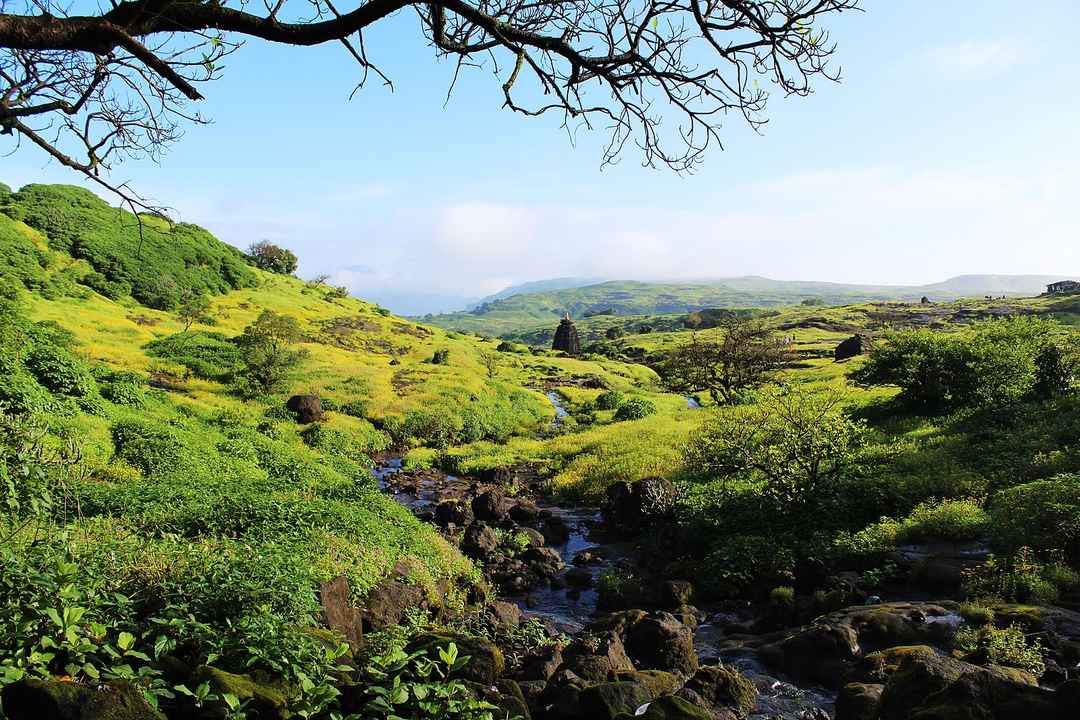 Photo of Top 10 Places Near Pune - Backpackers Should Visit this Monsoon