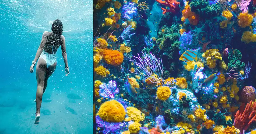 Photo of Near Death Experienc