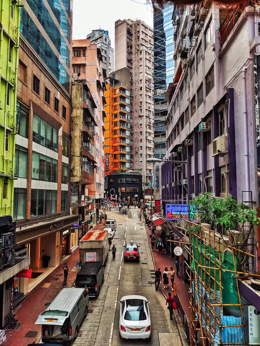 Photo of My Love Affair with 