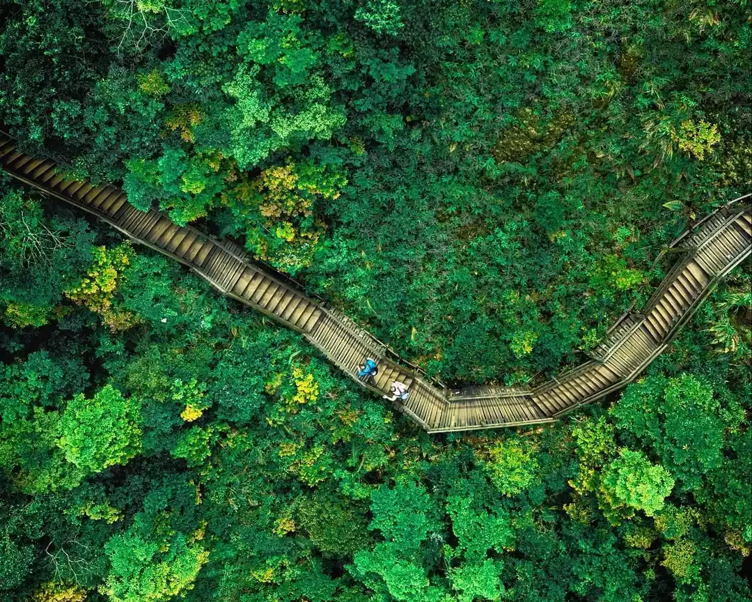 Photo of This Photographer's 