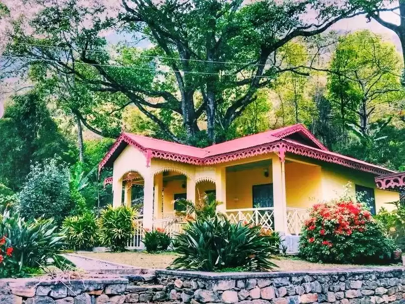 Photo of This Remote Homestay