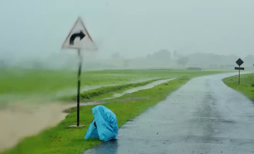 Photo of I Travelled to the W