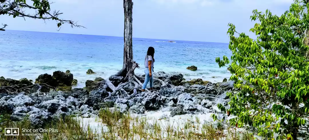 Photo of Elephant beach