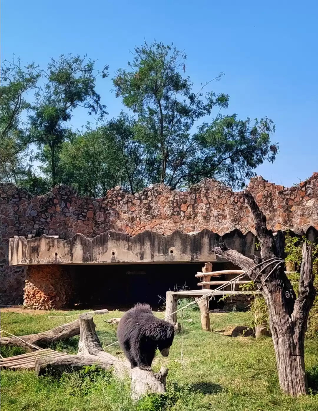 Photo of A Beautiful day with