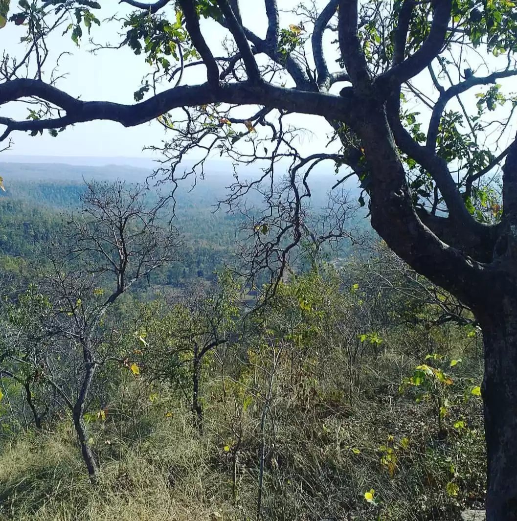 Photo of #besttravellerpictur