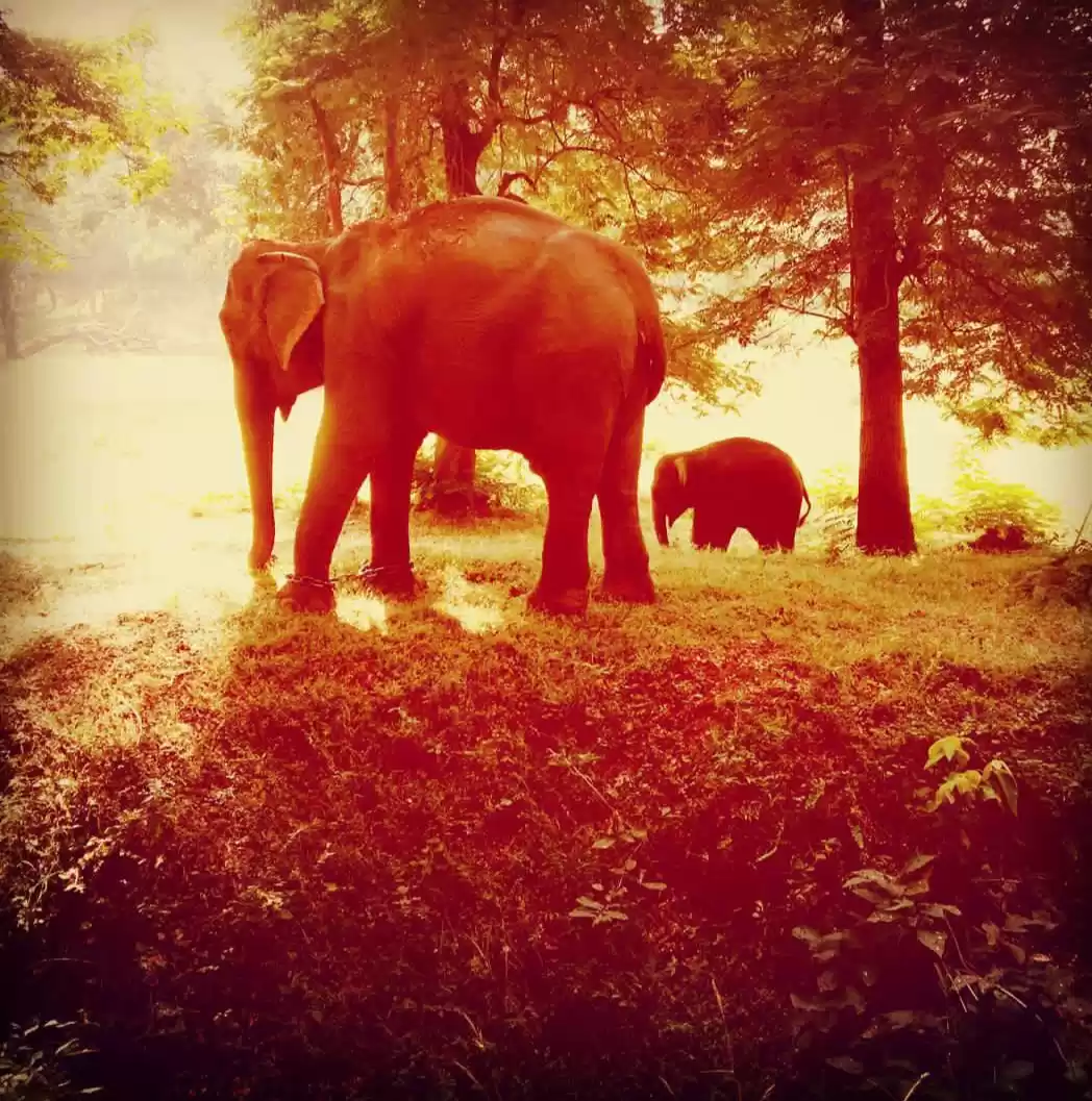 Photo of #besttravelpicture
#