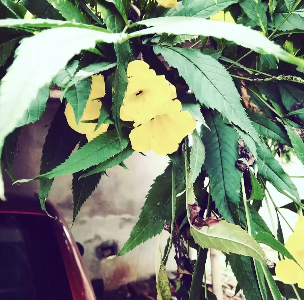 Photo of #besttravelpicture
#