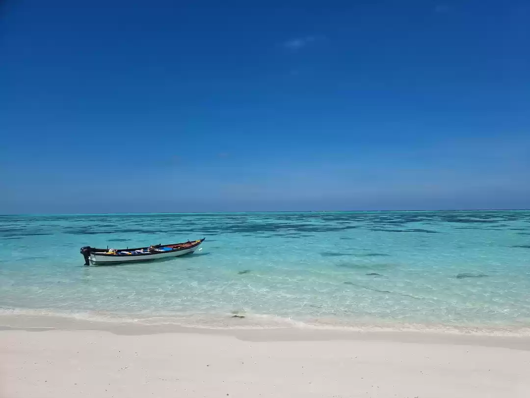 Photo of Tropical Paradise of