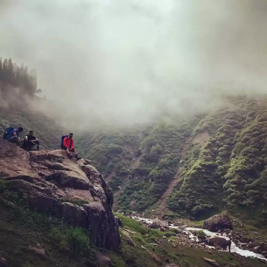 Photo of Wandering through th